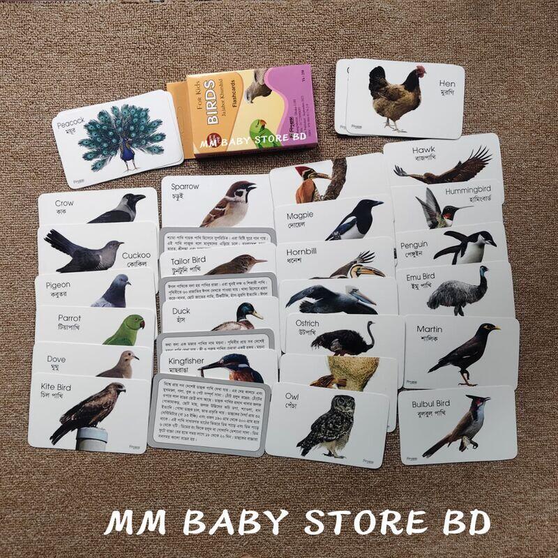 Birds Flashcards