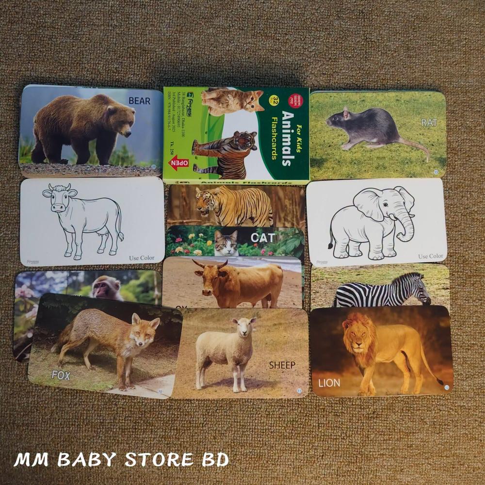 Animals Flashcards